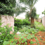 Terrain nu 1/2 lot à vendre à Lomé AKATO